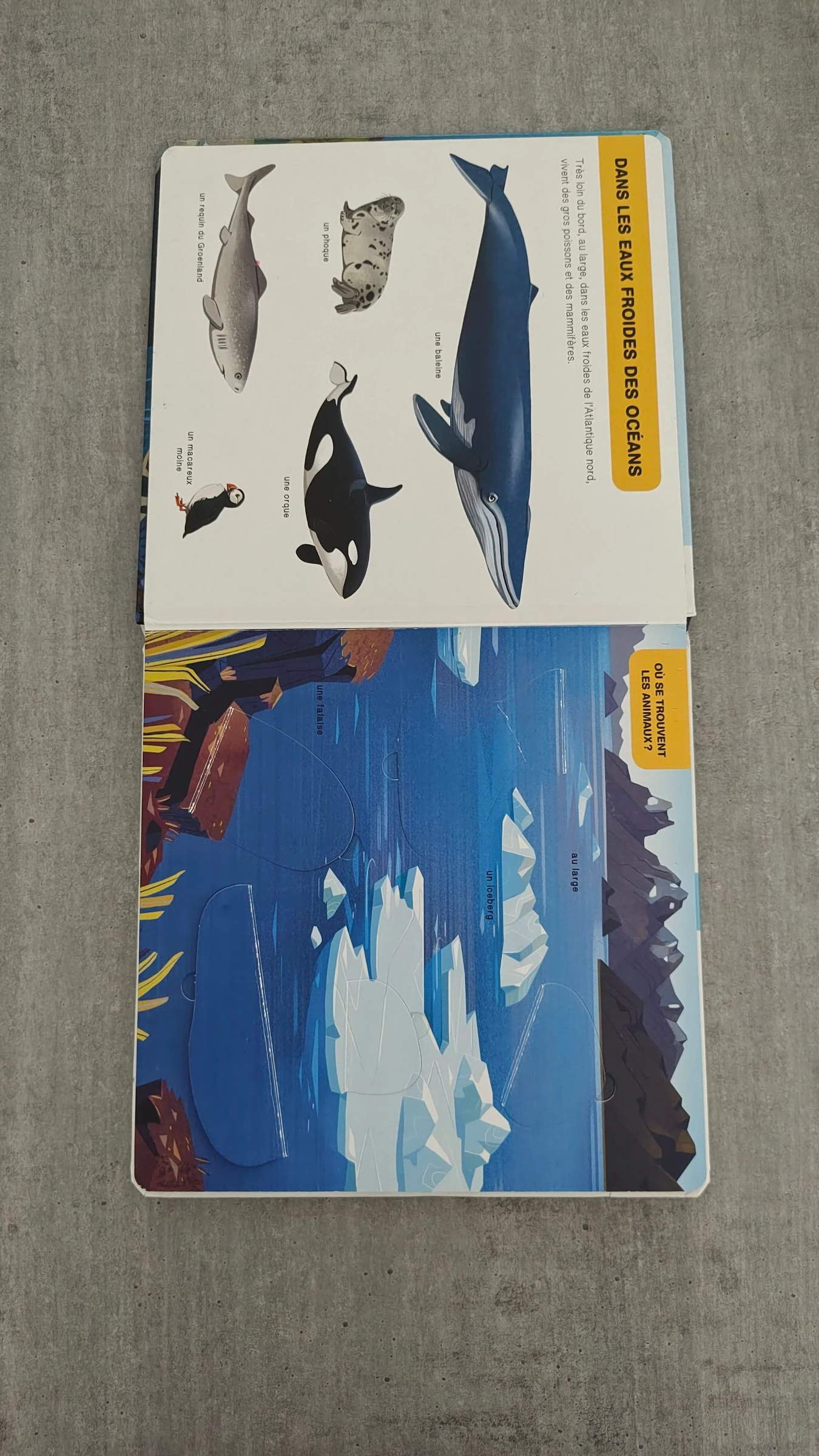Children's book The Animals of the Ocean - flap doc SA – photo 2